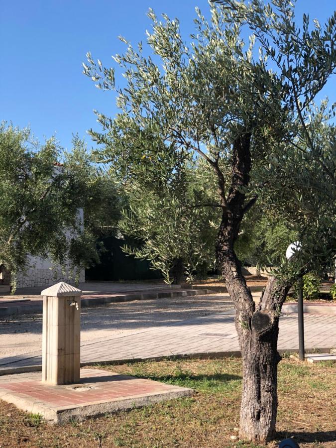Tenuta Montincello Vieste Eksteriør billede